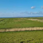 Seeschwalbe In Nyaraló Dornumersiel