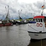 Nyaraló Seeschwalbe In
