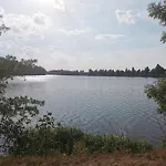 Nyaraló Seeschwalbe In