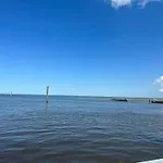 Nyaraló Seeschwalbe In *