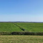 Seeschwalbe In *