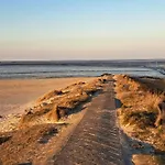 Nyaraló Seeschwalbe In