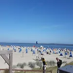 Seeschwalbe In Nyaraló Dornumersiel