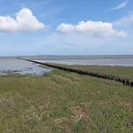 Seeschwalbe In *