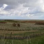 Seeschwalbe In Nyaraló Dornumersiel