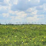 Seeschwalbe In Dornumersiel