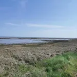 Seeschwalbe In *