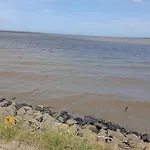 Seeschwalbe In Nyaraló Dornumersiel