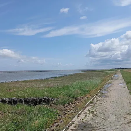 Seeschwalbe In *