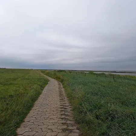 Tiefblick, * Dornumersiel