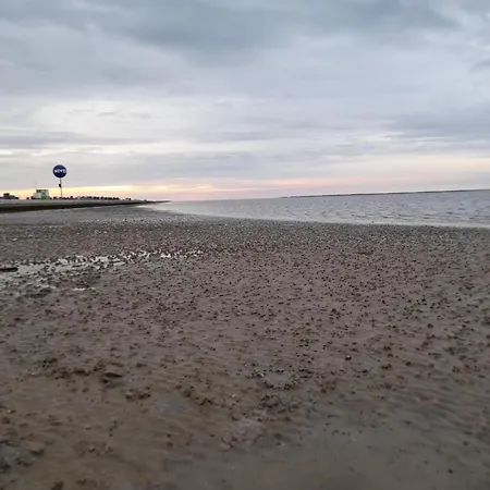 Seeschwalbe In * Dornumersiel