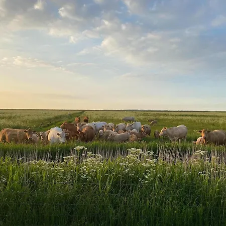 Tiefblick, Holiday home *