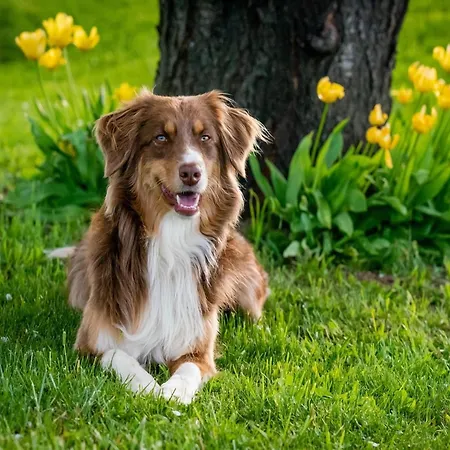 Tiefblick, * Dornumersiel