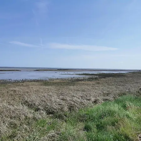 Seeschwalbe In *