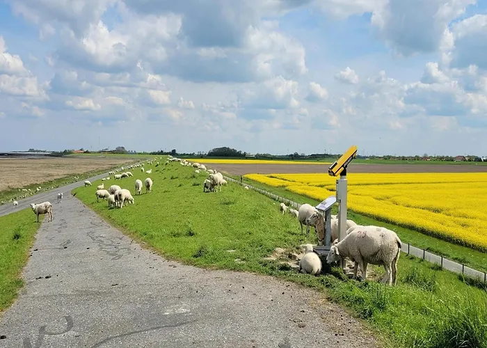 Hébergement de vacances Tiefblick, Dornumersiel
