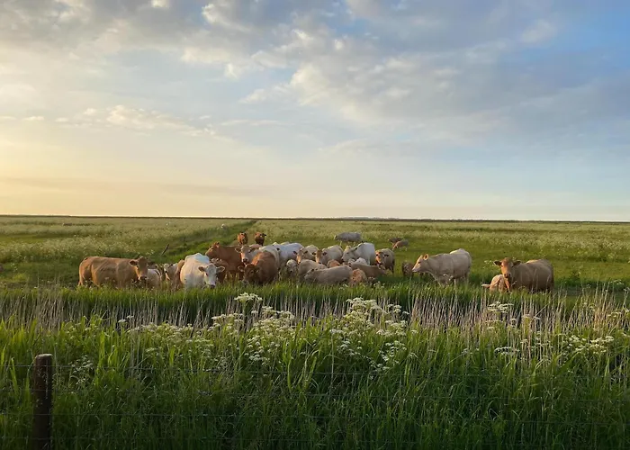 Tiefblick, Hébergement de vacances *