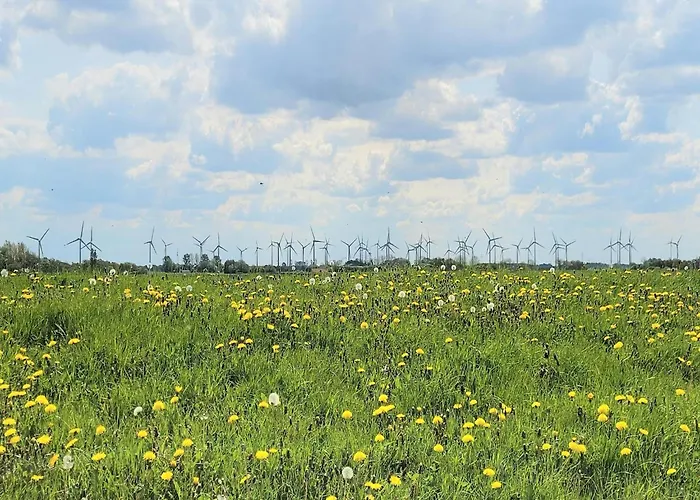 Tiefblick, Dornumersiel